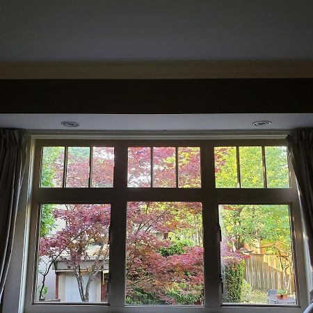 Elegant, Sunny Modern Home With Skylights - Kitsilano, Vancouver Kültér fotó